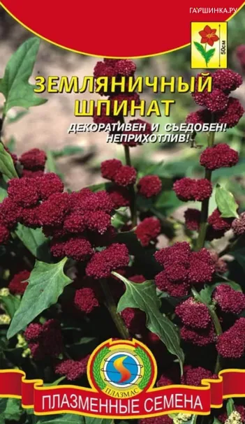 Земляничный Шпинат 0,05 г, Плазменные семена