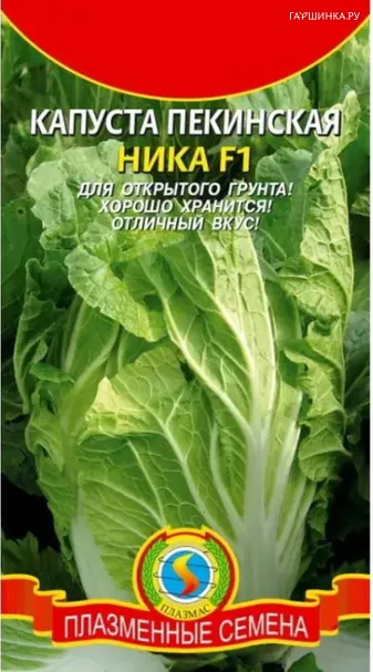 Пекинская капуста Ника F1 0,1 г, Плазменные семена