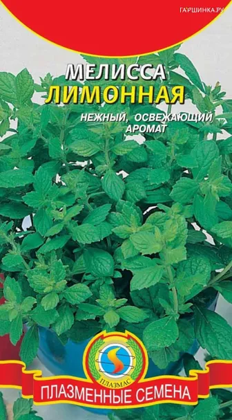 Мелисса лимонная 0,1 г, Плазменные семена