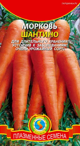 Морковь Шантино 1,5 г, Плазменные семена