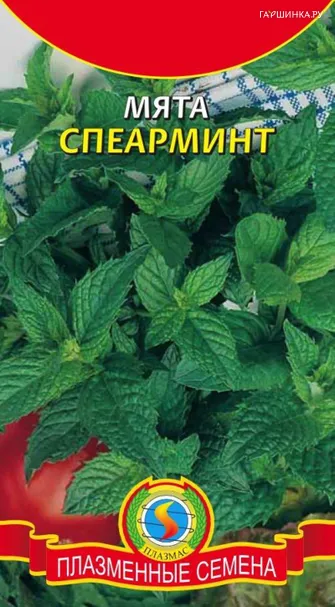 Мята Спеарминт 0,0006 г, Плазменные семена