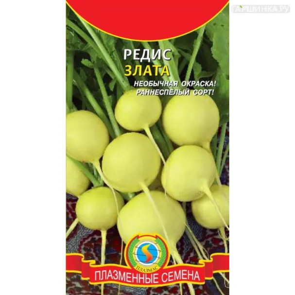 Редис Злата 2 г, Плазменные семена