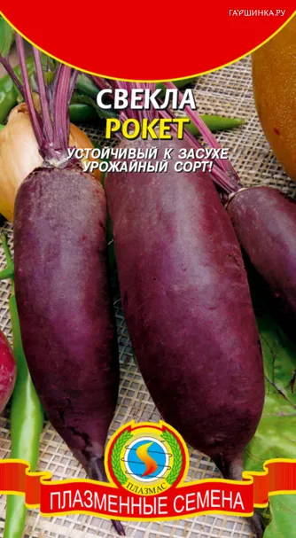 Свекла Рокет, 75 шт, Плазменные семена