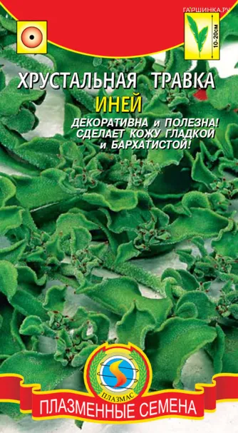Иней (Хрустальная травка) 0,02 г, Плазменные семена