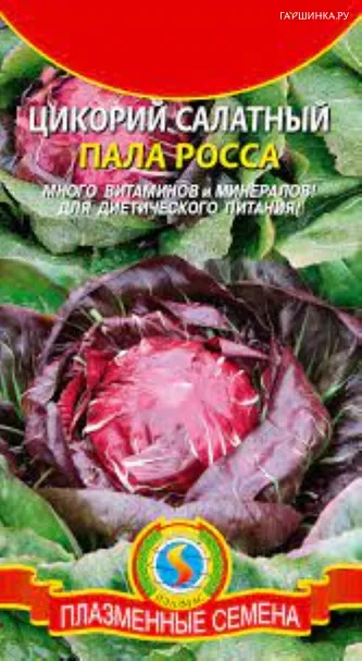 Цикорий Пала Росса салатный 0,2 г, Плазменные семена
