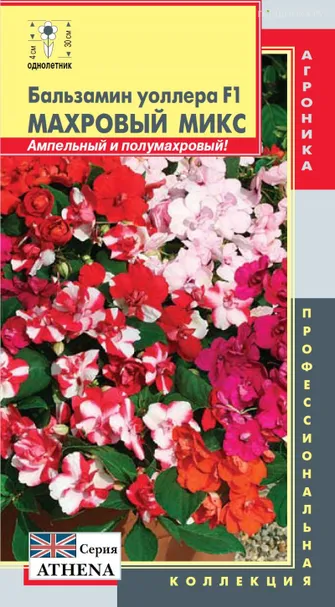 Бальзамин Махровый Микс (серия Athena) Уоллера F1 4шт, Плазменные семена