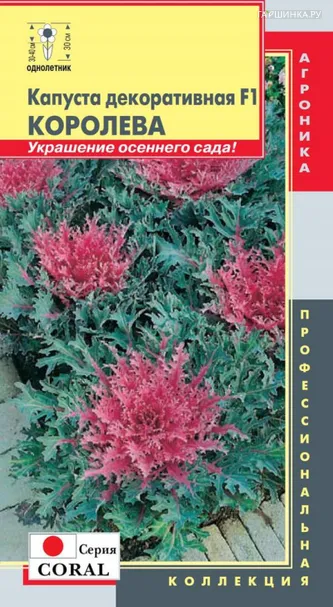Декоративная капуста Королева F1 (серия Coral) 5 шт, Плазменные семена