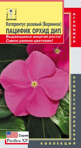 Катарантус розовый (Барвинок) Пацифик Орхид Дип, 8 шт, Плазменные семена
