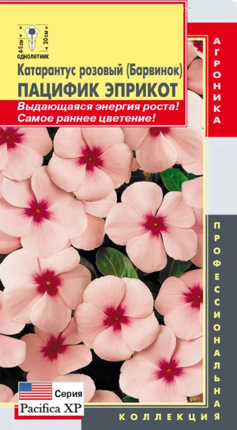 Катарантус розовый (Барвинок) Пацифик Эприкот, 8 шт, Плазменные семена