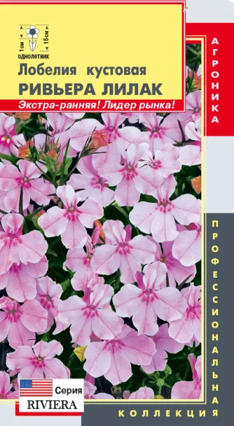 Лобелия Ривьера Лилак кустовая (серия Ривьера) 8 мультидрж в пробир, Плазменные семена