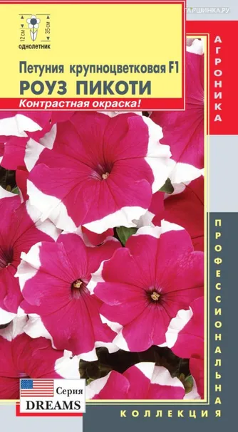 Петуния крупноцветковая F1 (Серия Dreams) Пикоти Роуз, 10драже в пробирке, Плазменные семена