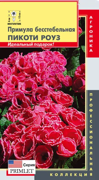 Примула бесстебельная (серия Primlet) Пикоти Роуз, 5шт, Плазменные семена