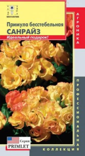 Примула Санрайз бесстебельная (серия Primlet) 5шт, Плазменные семена