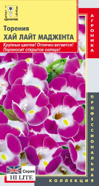 Торения Маджента (серия Hi Lite)  4 шт, Плазменные семена