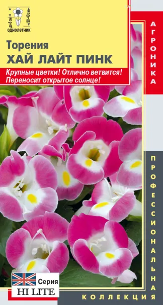 Торения Пинк (серия Hi Lite) 4 шт, Плазменные семена