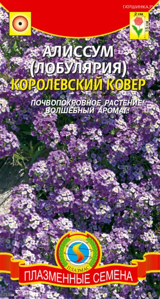 Алиссум (Лобулярия) Королевский ковер 0,1г, Плазменные семена
