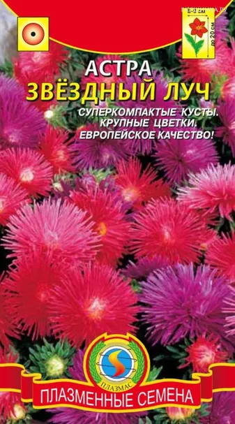 Астра Звёздный луч 0,1 г, Плазменные семена