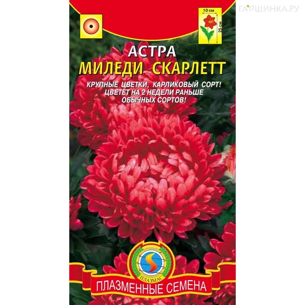 Астра Миледи Скарлетт, 0,1 гр, Плазменные семена
