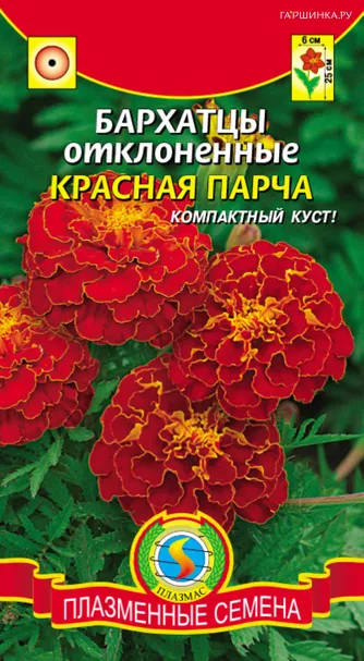 Бархатцы Красная парча отклоненные 45 шт, Плазменные семена