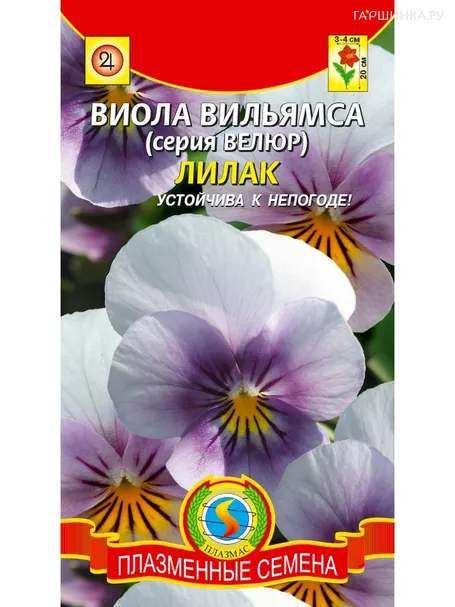 Виола вильямса (серия Велюр) Лилак, 10 шт, Плазменные семена