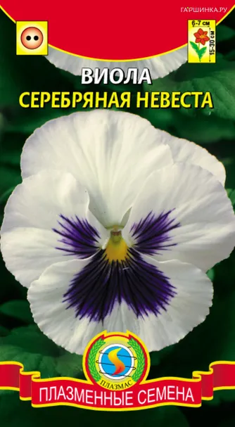 Виола Серебряная невеста, 0,1 г, Плазменные семена