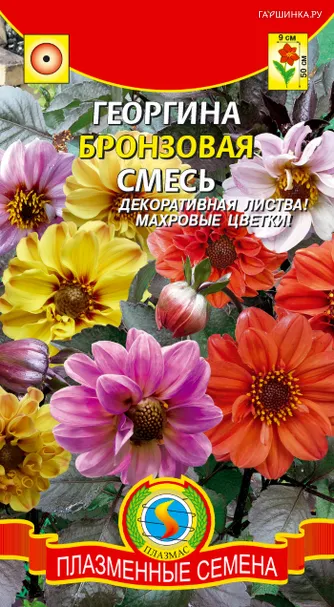 Георгина Бронзовая смесь 12 шт, Плазменные семена