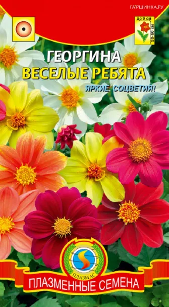 Георгина Веселые ребята 0,15 гр, Плазменные семена