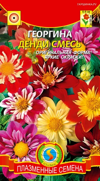 Георгина Денди 13 шт, Плазменные семена