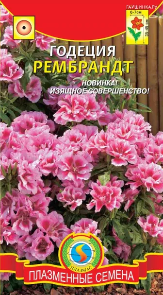 Годеция Рембрандт 0,05 гр, Плазменные семена