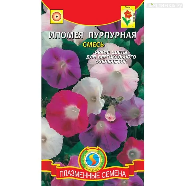 Ипомея Пурпурная смесь, 0,5 гр, Плазменные семена