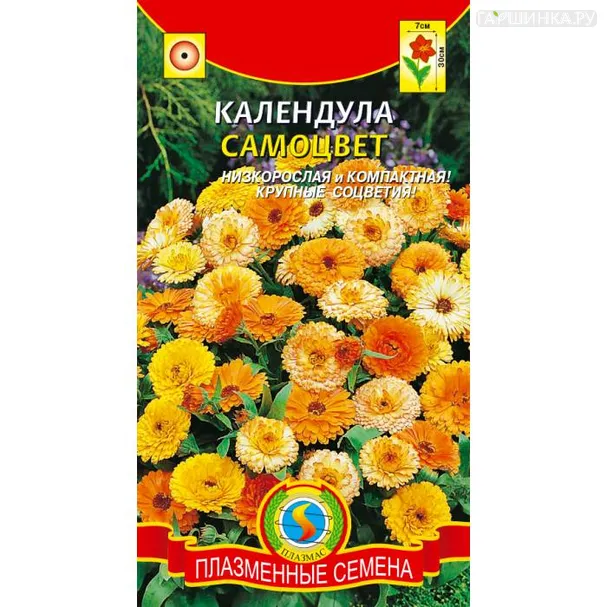 Календула Самоцвет, 0,3 гр, Плазменные семена