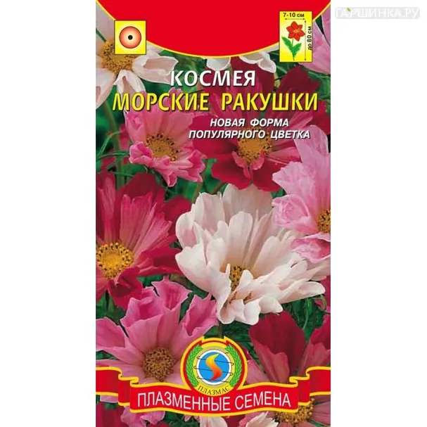 Космея Морские ракушки, 0,3 гр, Плазменные семена