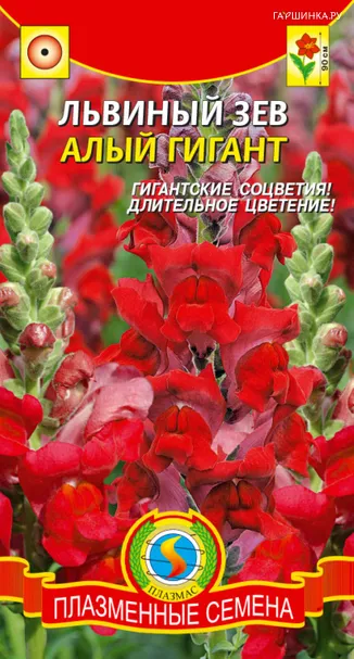 Львиный зев Алый гигант, 0,1гр, Плазменные семена