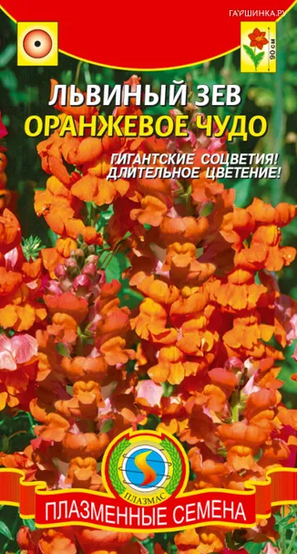 Львиный зев Оранжевое чудо 0,1г, Плазменные семена