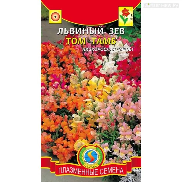 Львиный зев Том Тамб, 0,2 гр, Плазменные семена