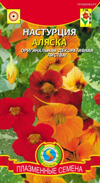 Настурция Аляска, 9 шт, Плазменные семена