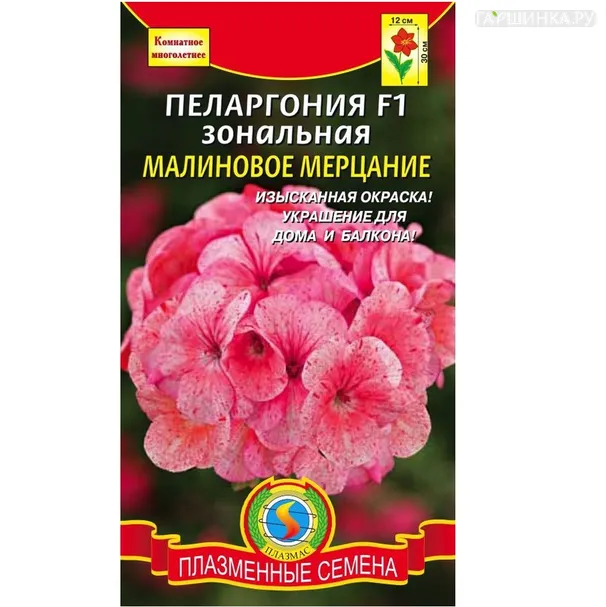 Пеларгония зональная Малиновое Мерцание F1, 3 шт, Плазменные семена
