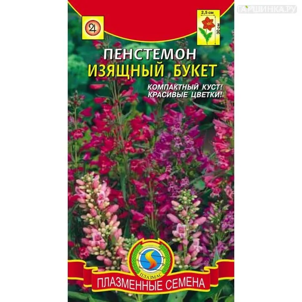 Пенстемон Изящный букет, 0,1 гр, Плазменные семена