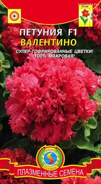 Петуния Валентино F1 10драже в пробирке, Плазменные семена