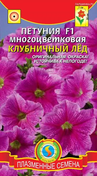 Петуния Клубничный лед F1 многоцветковая 10 драже в пробирке, Плазменные семена