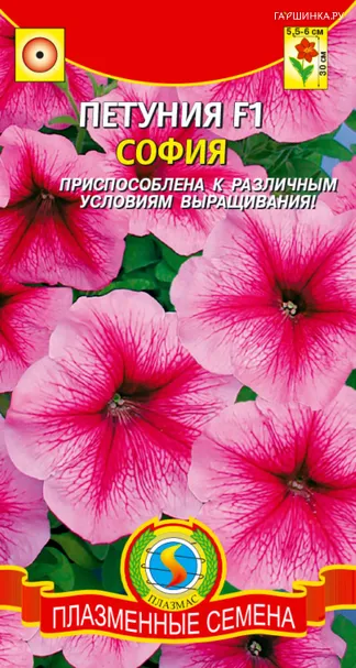 Петуния многоцветковая София F1, 0, Плазменные семена