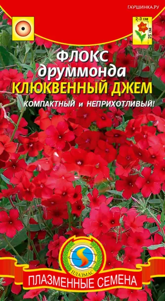 Флокс Друммонда Клюквенный джем 0,1 г, Плазменные семена