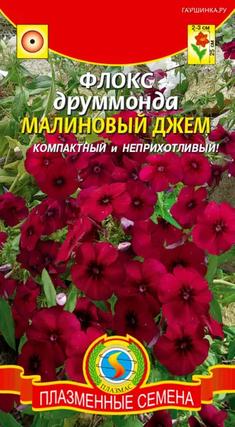 Флокс Друммонда Малиновый джем 0,1 г, Плазменные семена