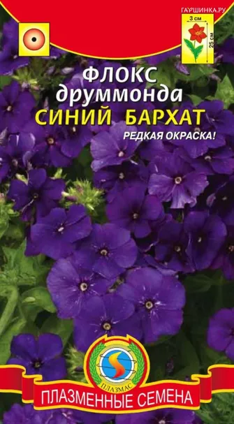 Флокс Друммонда Синий бархат 0,1 г, Плазменные семена