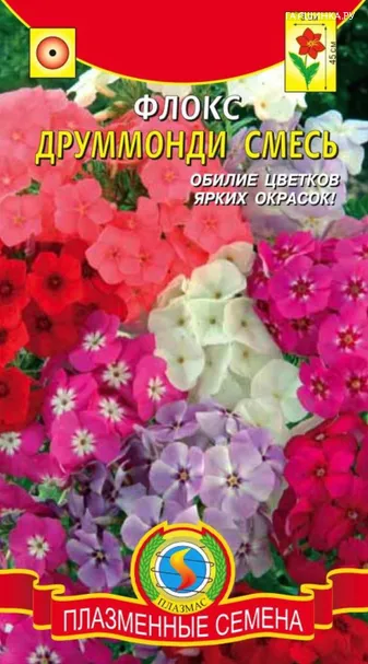 Флокс Друммонда Смесь 0,2 г, Плазменные семена