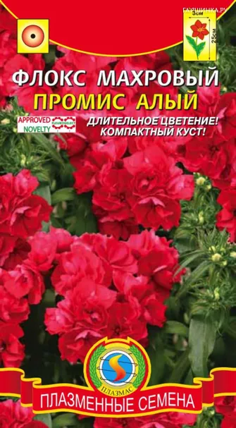 Флокс махровый Промис Алый, 5 шт, Плазменные семена