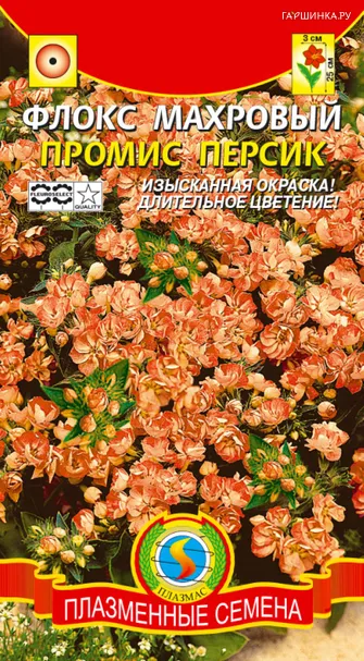 Флокс Промис Персик махровый 5 шт, Плазменные семена