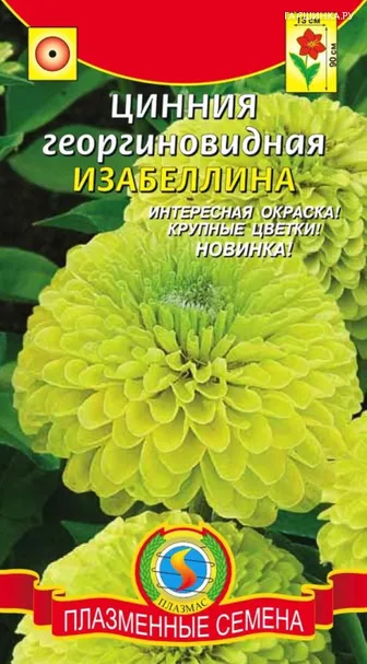 Цинния георгиновидная Изабеллина, 0,3 гр, Плазменные семена