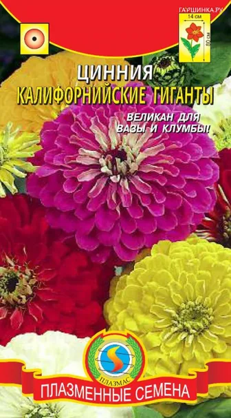 Цинния Калифорнийские гиганты, 0,4 гр, Плазменные семена
