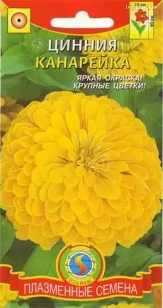 Цинния Канарейка, 0,3 гр, Плазменные семена